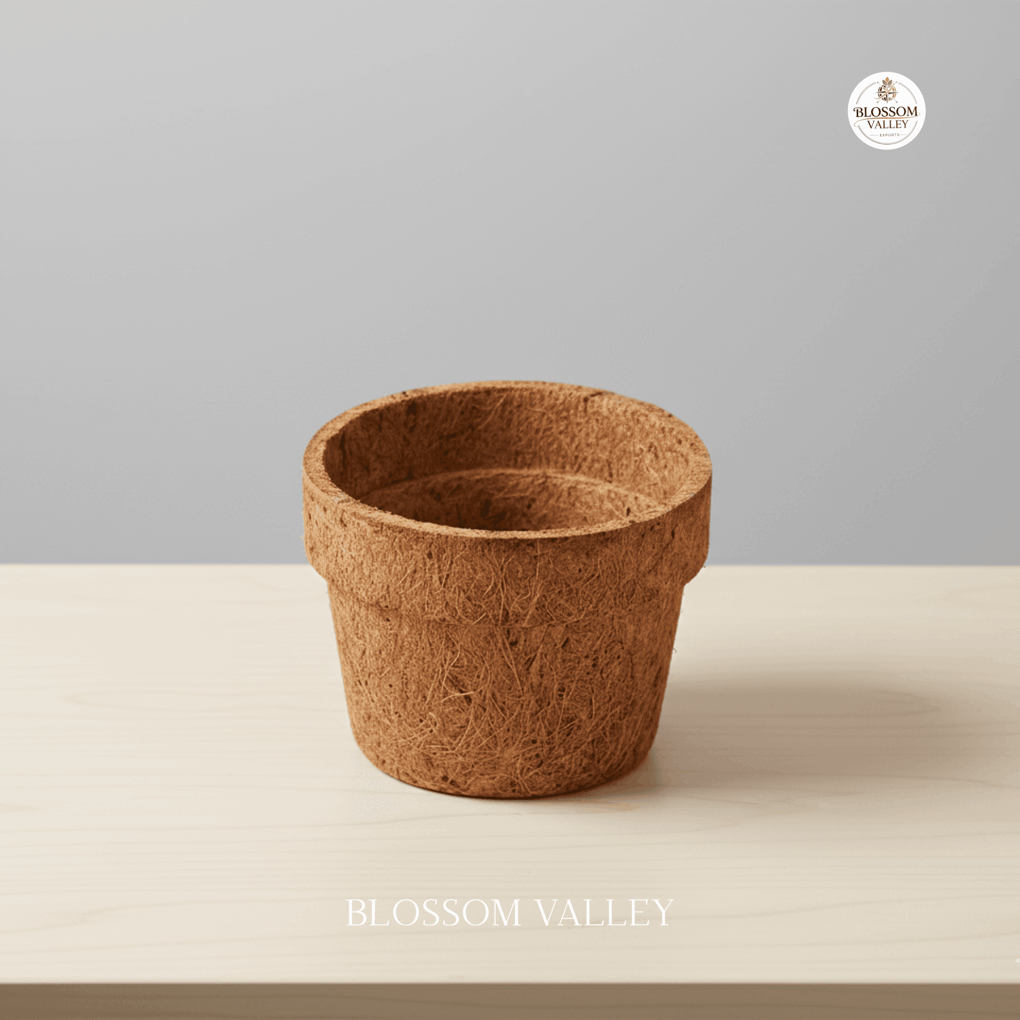 Coco Coir Pot & Hanging Set