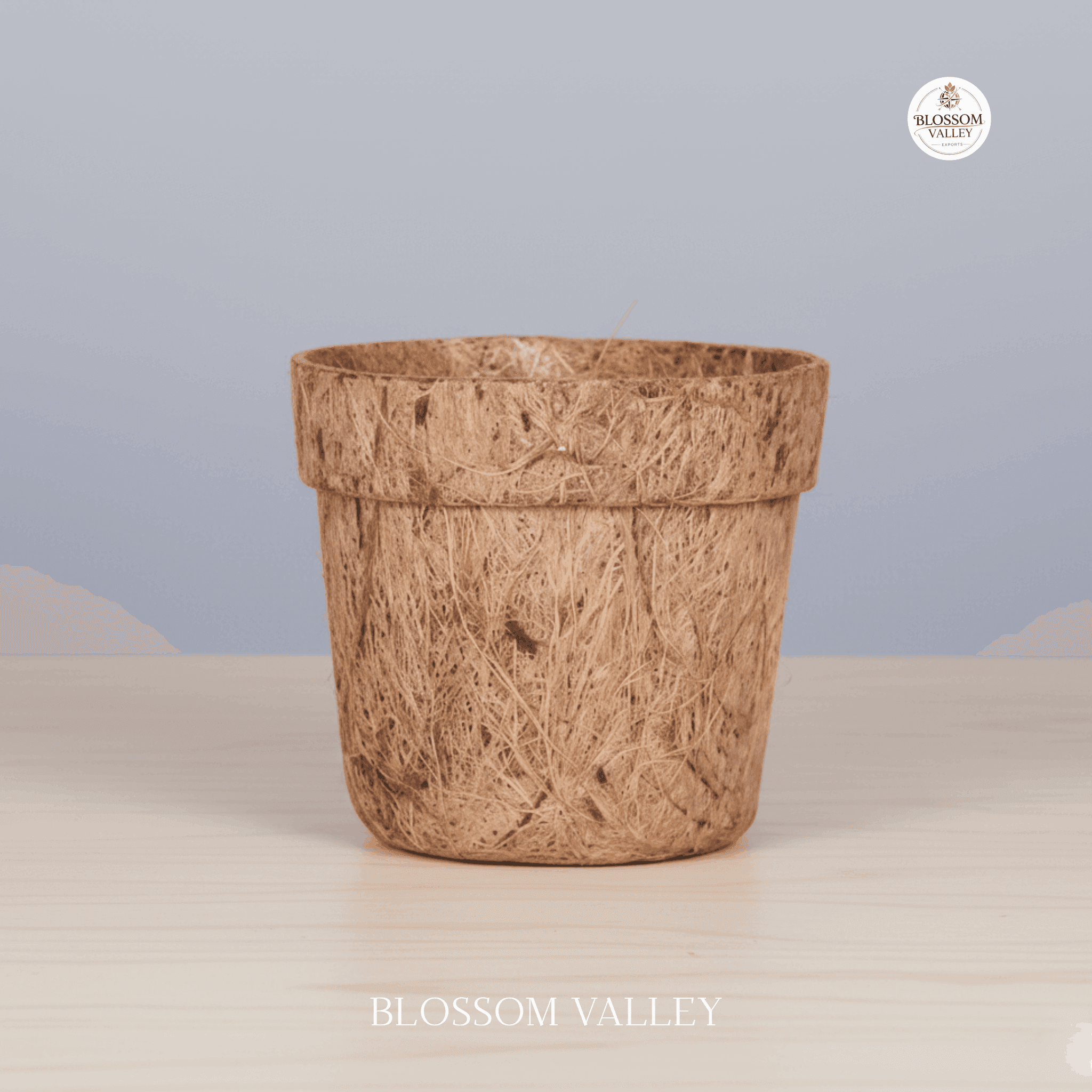 Coco Coir Pot