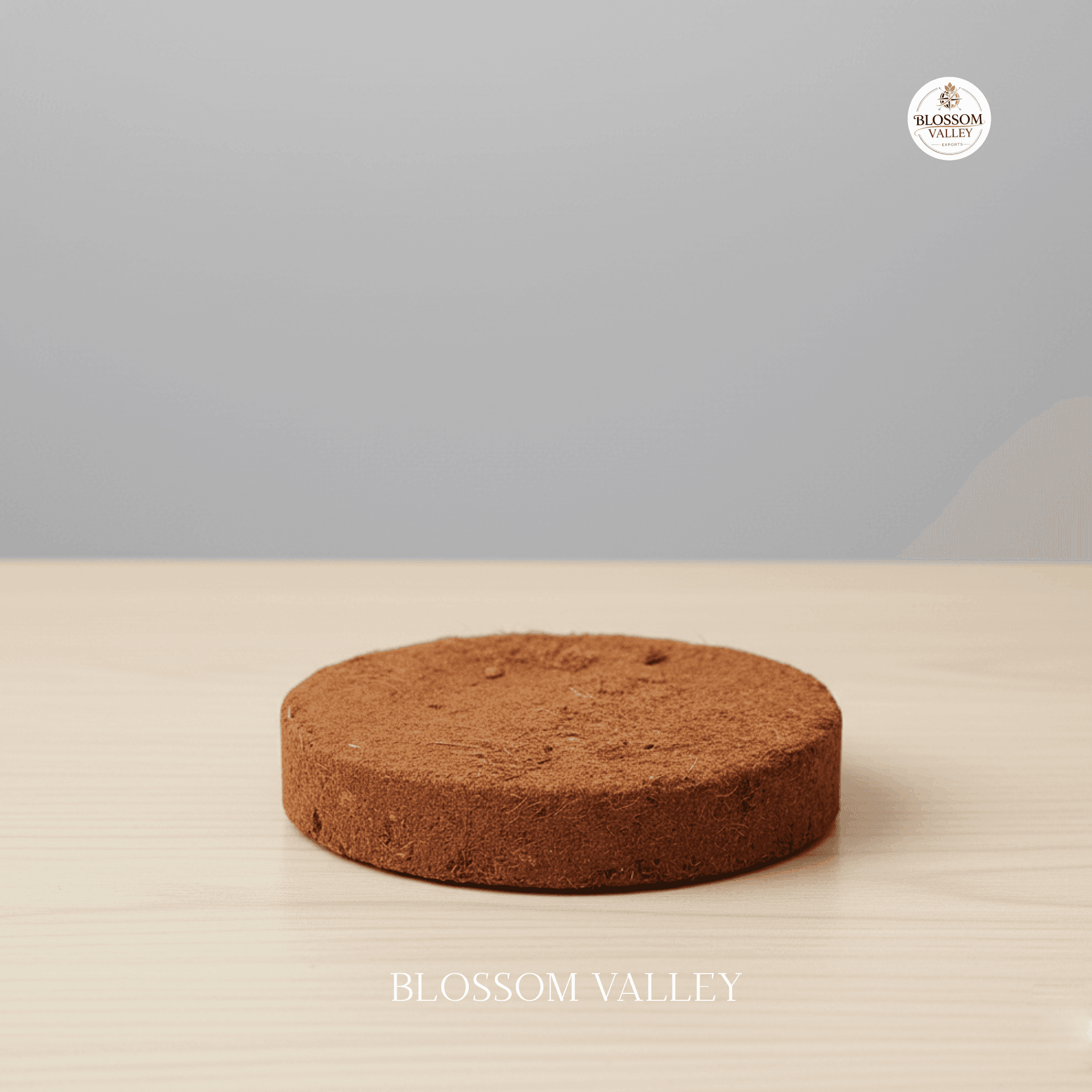 100mm Coco Peat Disc