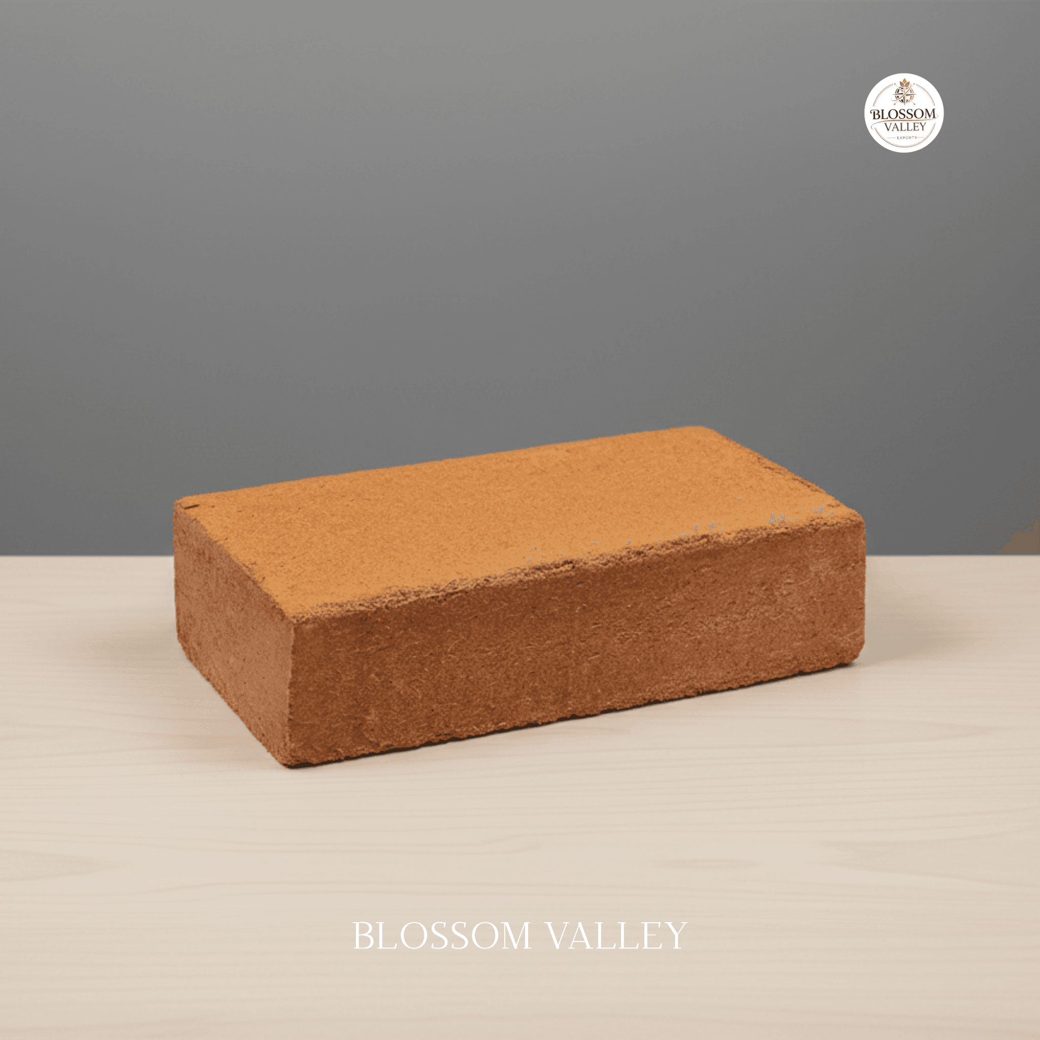 Cocopeat 650g Bricks