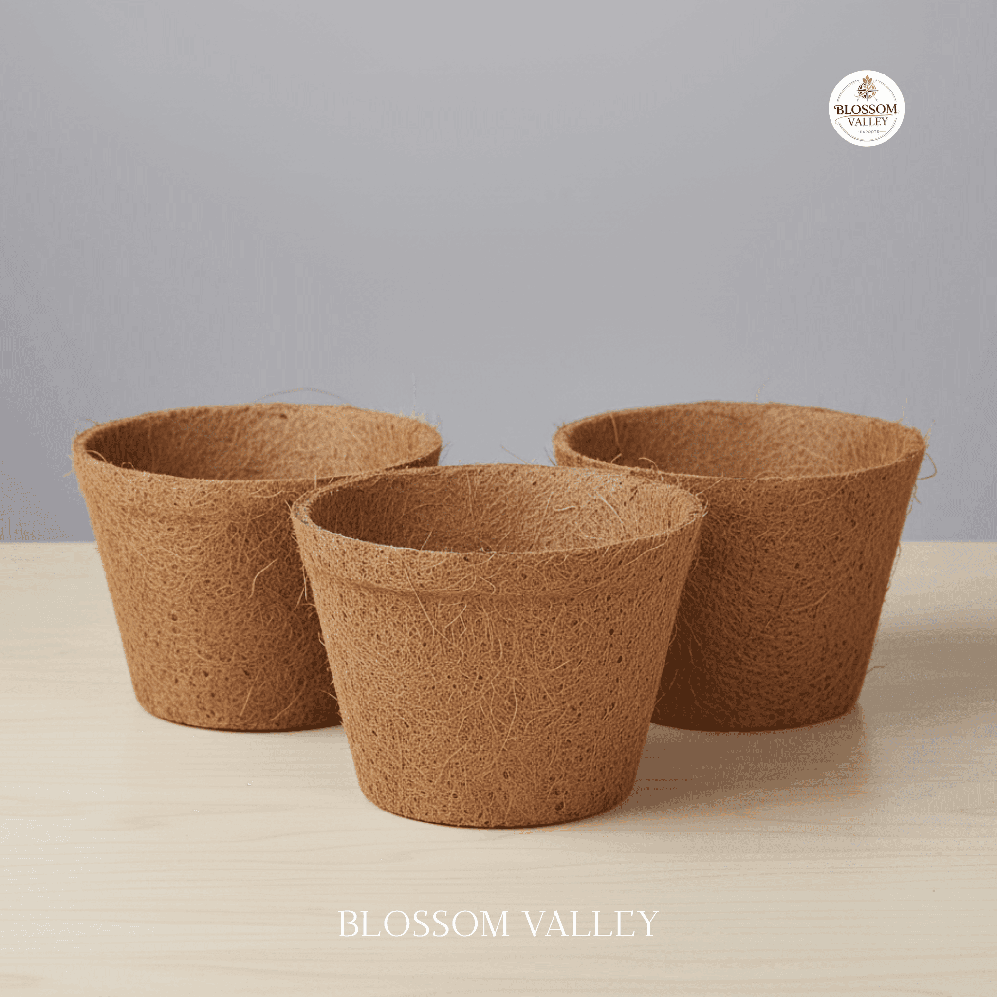 Coir Hanging Pot